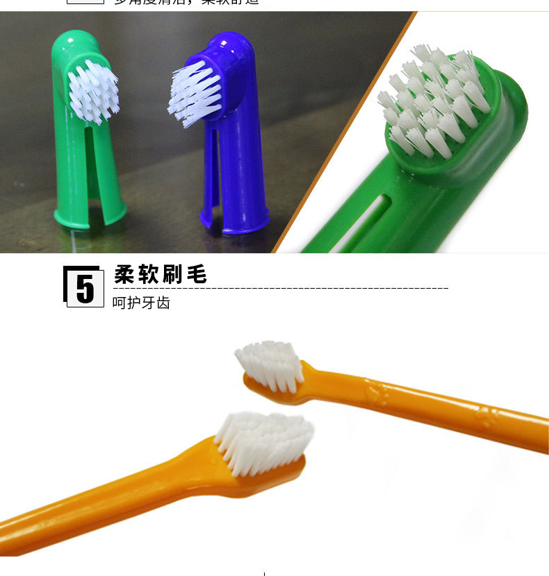 狗狗口腔健康四件套 全方位守護愛犬牙齒，從科學護理開始